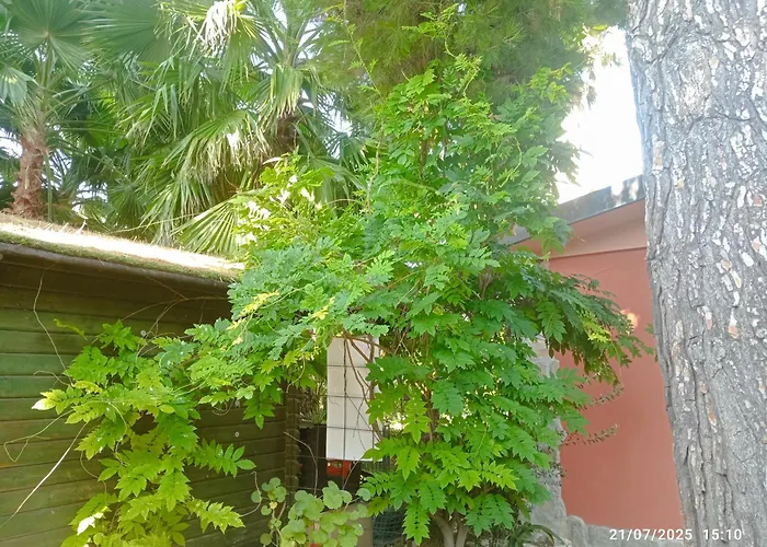 Casa de Férias Milvia Tortoreto